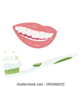 A smiling  woman's mouth image See teeth that look healthy With A toothbrush with toothpaste on top on white background .Vector illustration flat design. Idea for dental clinic or cosmetic web.