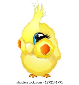 Smiling yellow Corella isolated on white background.For your design, for the website,for the company,for the store, for packaging and more.