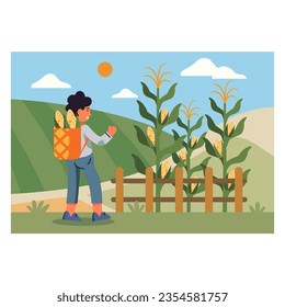 Smiling young man with backpack harvesting on corn plantation. Growing corn on large fields. Flat vector illustration in cartoon style in blue and green colors