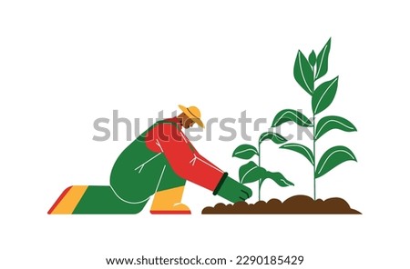 Smiling young man in yellow hat caring for tobacco plant flat style, vector illustration isolated on white background. Tobacco growing, nature, design element