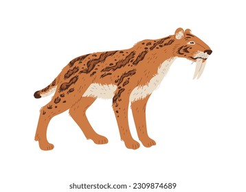 Animal prehistórico de Smilodon, ilustración vectorial plana aislada en fondo blanco. Dibujo de tigre o depredador dientes de sable extinguido. Vida silvestre de la época del Pleistoceno.