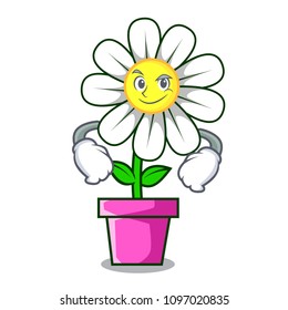 Smirking daisy flower character cartoon