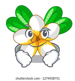 Smirking frangipani flowers in the chracter pot