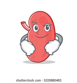 Smirking kidney character cartoon style