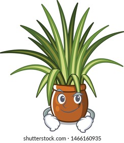 Smirking spider plant isolated with in mascot