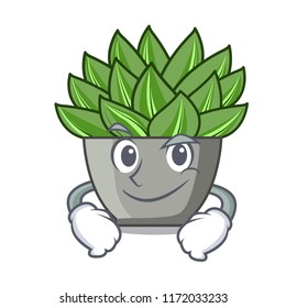 Smirking view of green echeveria cactus cartoon