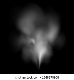 Smoke with black background. Vector illustration. white abstract smoke isolated. Transparent elements for web, illustrations, logotypes, fabric print, design. Eps10.