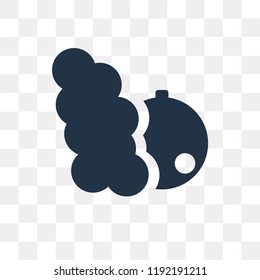 Smoke bomb vector icon isolated on transparent background, Smoke bomb transparency concept can be used web and mobile