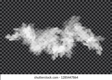 Smoke cloud on transparent background. Realistic fog or mist texture isolated on background. Transparent smoke effect. Vector