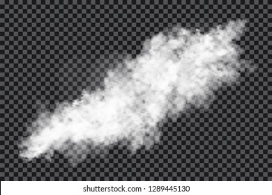 Smoke cloud on transparent background. Realistic fog or mist texture isolated on background. Transparent cigarette smoke effect. Vector