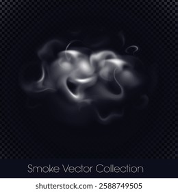 Smoke, smoke of e-cig, mist, fog, gas, Steam or cloud of smoke isolated Vector (EPS) Illustration on transparent background