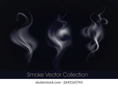 Smoke, smoke of e-cig, mist, fog, gas and Steam isolated Vector (EPS) Illustration Set on transparent background