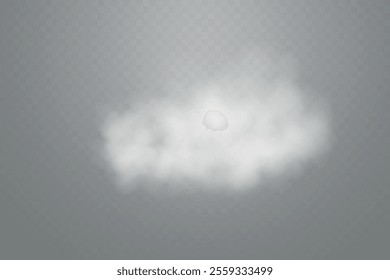 Smoke effect background. Realistic decorative fog in the air, vapor, creeping smoke puff. Layout of cloudy smog. Transparency vector illustration.