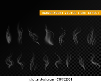 Smoke effect realistic isolated. Transparent background vector illustration