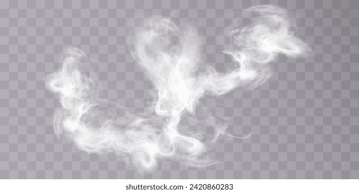 Smoke effect. Realistic vector fog effect and transparent magic fog. White steam, border of creeping smoke. Mockup of cloudy and growing smog. Vector 10 ep.	