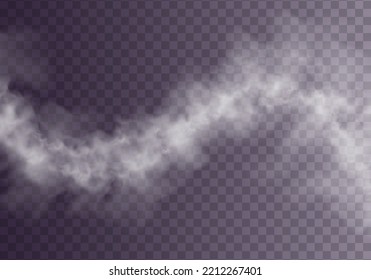 Сloud of smoke or fog isolated transparent special effect. Texture of steam or smoke for your design. White cloudiness, mist smog background. 3D realistic white foggy vapor. Vector illustration. 