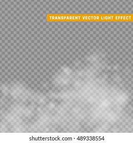 Smoke or fog  isolated transparent special effect. The steam effect. Volatile gas effect. Nebula for design. The natural effect of the mist to the environment.