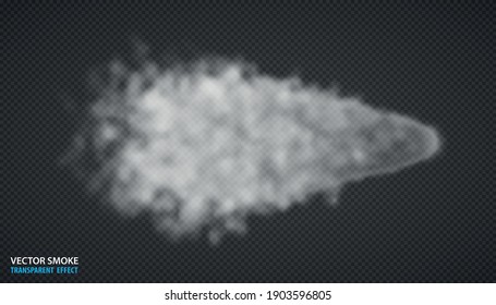 Smoke isolated on transparent background. White fog cloudiness mist or smog effect. Vector illustration