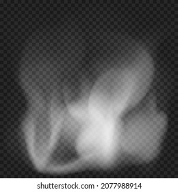 Smoke on a transparent background for your design. Vector illustration.