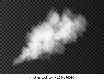  Smoke puff  isolated on transparent background.  White  steam explosion special effect.  Realistic  vector  column of  fire fog or mist texture.