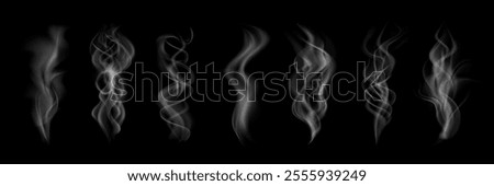 Smoke steam clouds isolated on black background, hot vapor swirls, light smoky trail, fog and mist effect. Set smoke steam, waves from tea, coffee, hot food, cigarettes