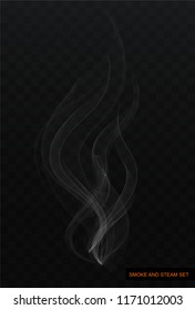 Smoke and steam on a transparent background. Realistic vector image.