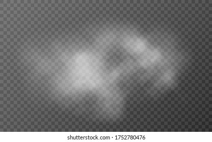 Smoke texture on transparent background. Realistic white cloud. Smog effect or mist. Abstract cloudiness design. Sky clouds or vapor concept. Vector illustration.