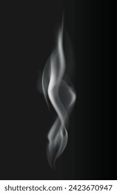 Smoke vector collection, isolated, transparent background. Set of realistic white smoke steam, waves from coffee,tea,cigarettes, hot food,... Fog and mist effect.