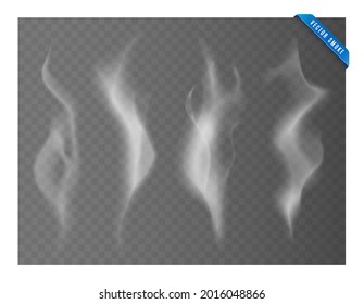 Smoke vector collection. White isolated cigarette smoke. Transparent special effect. Vector illustration.