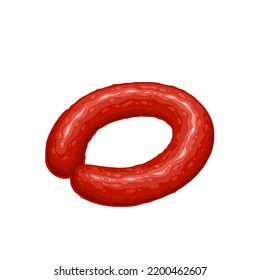 Smoked sausage circle vector illustration. Cartoon isolated dried sausage appetizer from pork or beef meat, cooked product of gastronomy, grocery shop and butchery of round shape, gourmet snack