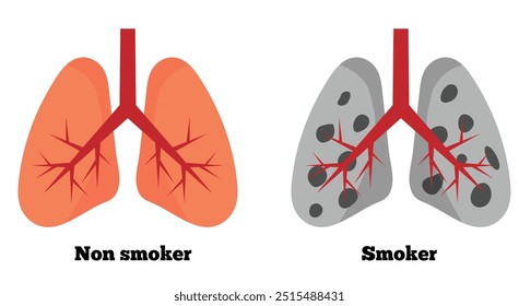 Pulmões fumantes e não fumantes. Saúde e conceito de medicina vetor