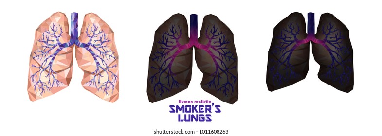 Smoker's lungs set in low poly. Healthy lungs, sick lungs, cancer lungs. Toxic influence of tobacco by carcinogenic compound of cigarette. Vector.