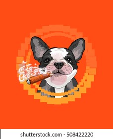 Smokes incredibly cool puppy bulldog colorful retro vector illustration for fan design and print