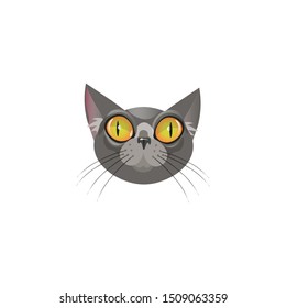Smokey grey shorthaired cats face with huge eyes vector illustration