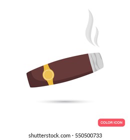 Smoking Cigar Color Flat Icon