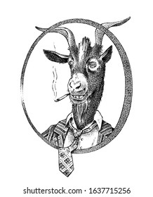 Smoking goat student or sheep. Hand drawn Animal person portrait. Engraved monochrome fashion sketch for card, label or tattoo. Hipster Anthropomorphism.