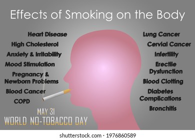 Smoking human face from profile view with explanation og effects of smoking on the body. World No-Tobacco Day concept. Vector illustration.