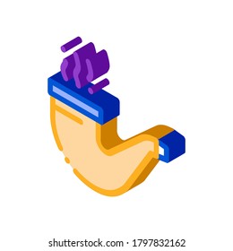 smoking pipe icon vector. isometric smoking pipe sign. color isolated symbol illustration