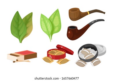 Smoking tobacco, bad habits set. Cigars, cigarettes, cigarillos, rolls in paper. Snuff, chewing tobacco powder, nicotine, tobacco leaves, smoking pipes. Concept of cigarette harm vector