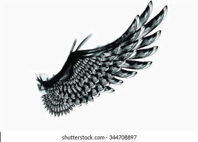 Smoky Vector Black Wing