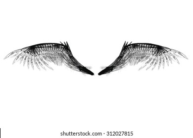 Smoky Vector Black Wings