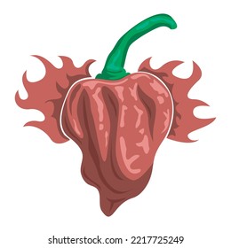 smoldering carolina reaper chili vector
