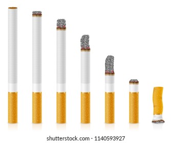 smoldering cigarettes of different lengths stock vector illustration isolated on white background