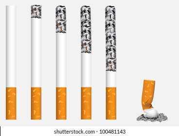 Smoldering, exhibited in a row, cigarettes.