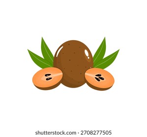 Vector liso de frutas de aserrín marrón con rebanada de sapodilla para Diseños de frutas frescas tropicales