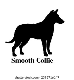 Smooth Collie Dog silhouette dog breeds dog monogram logo dog face vector