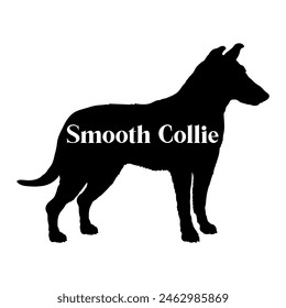 Smooth Collie Dog silhouette dog breeds logo dog monogram vector