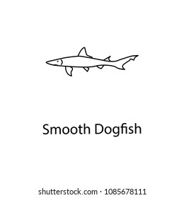 smooth dogfish icon. Element of marine life for mobile concept and web apps. Thin line smooth dogfish icon can be used for web and mobile. Premium icon on white background