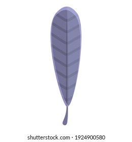 Smooth feather icon. Cartoon of smooth feather vector icon for web design isolated on white background