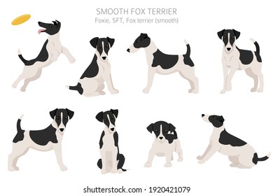 Glatte Fox Terraer Clipart. Unterschiedliche Posen, Farben für die Fellfarbe.  Vektorgrafik